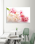 Obraz Exotická orchidea zs1174